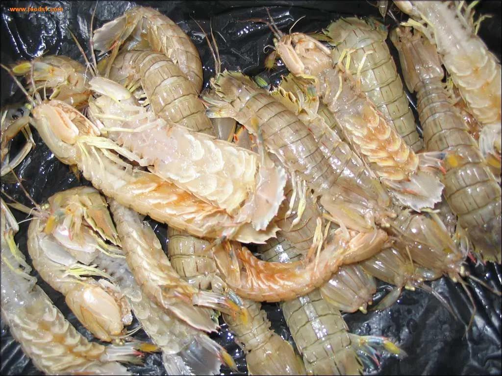 常见海鲜的名称和图片(盘点15种常吃的小海鲜) - 赤虎壹号