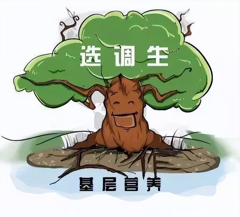 選調生和公務員有哪些區別？主要這4點區別，選調生或成人生贏家