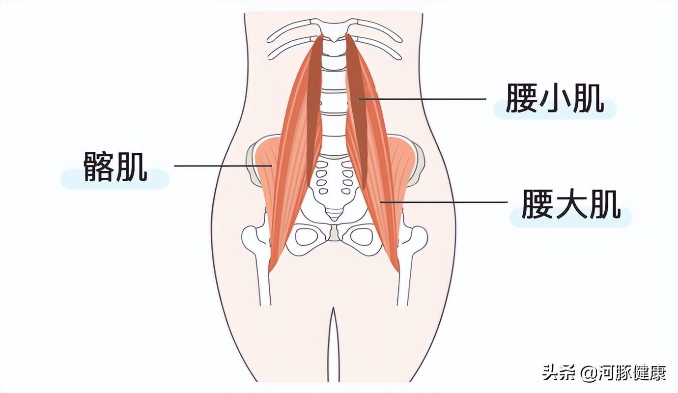 如何快速区分腰椎间盘突出与腰肌劳损？