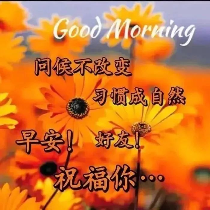 温馨早上好祝福语，愿你身体健康，天天好运气，平安吉祥，好运相随图片