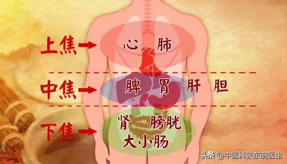 京城老中医：禁止一切寒凉之物，保护好中焦脾胃，健康长寿齐相伴