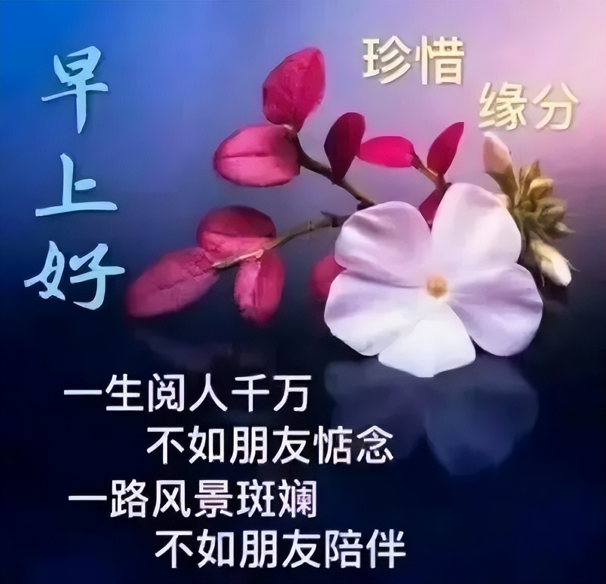 美好的一天美好的开始 早安最美祝福送给你 健康是财富 知足最快乐图片
