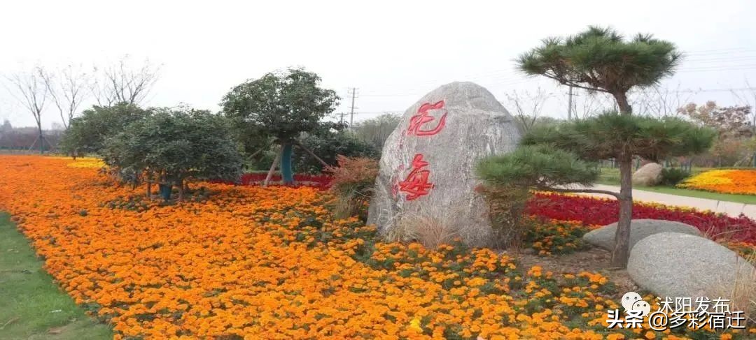 沭陽新河鎮雙蕩村入選全省鄉村旅游重點村