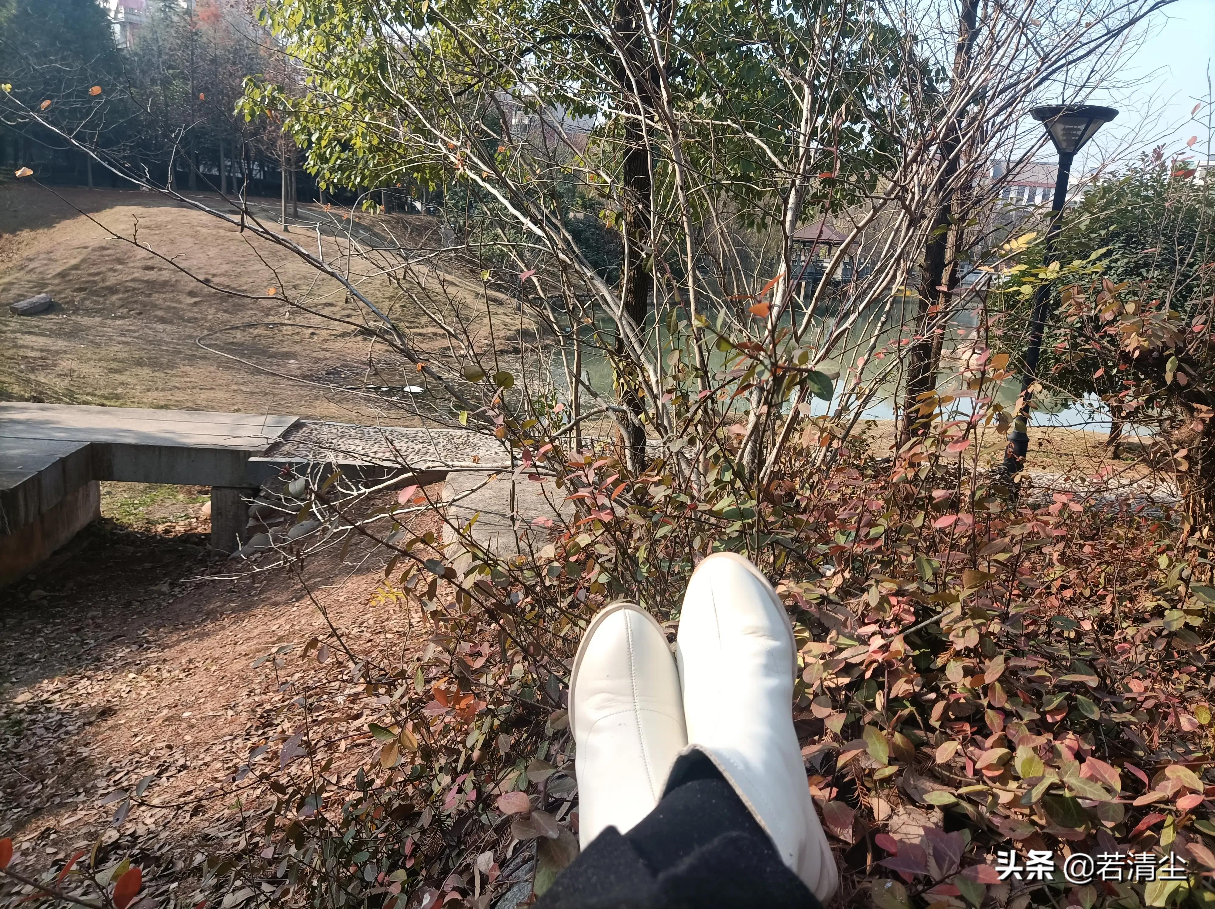 《尘路过往归于尽，回归自然寻本真》