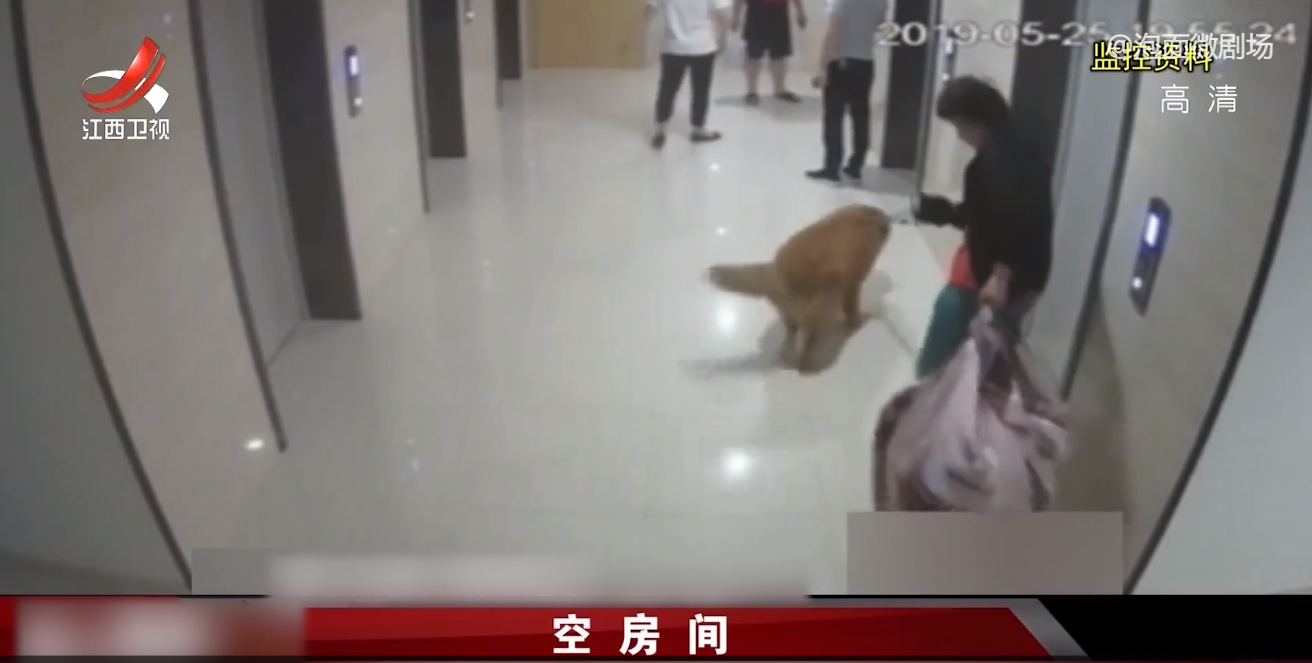 女房东带租客看房被杀,女房东带租客看房被杀电视剧