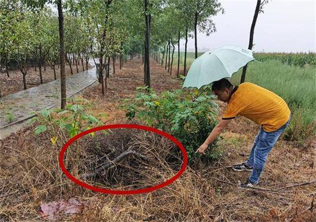 2003年山西女教师失踪，寝室床上一滩尿液，5个月遗体现邻村枯井