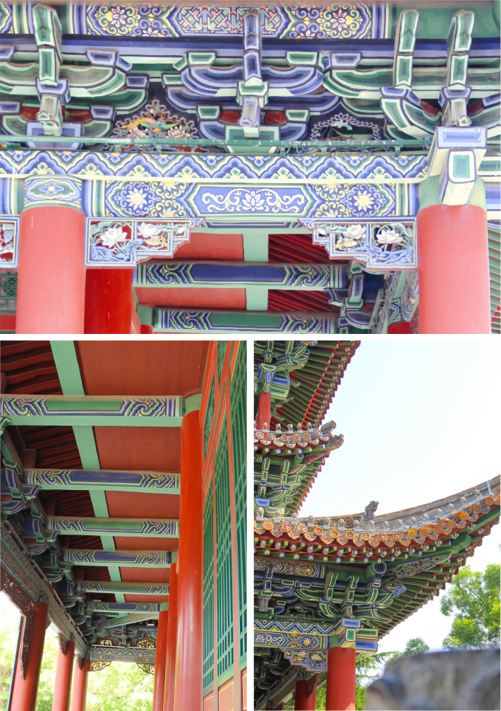 夏日迎泽，行走在无尽绿意中