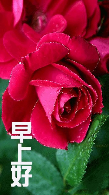 早上好朋友圈祝福语，一生长安，未来可期，愿每天有喜有乐图片