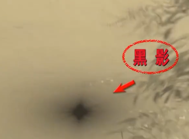 长沙28岁男子深夜遭遇水怪，有手有脚似婴儿，专家得知捧腹大笑