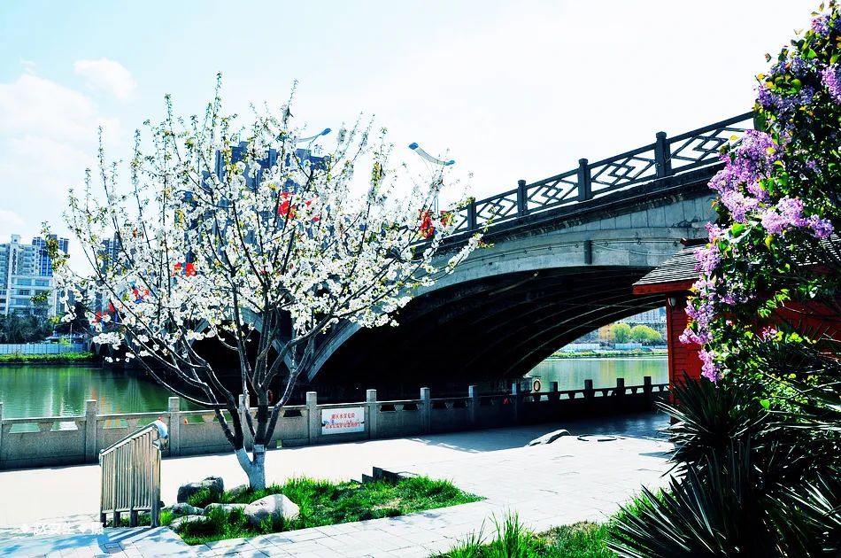 疫情挡不住春天的脚步，小编带你去看古城秦州的春暖花开