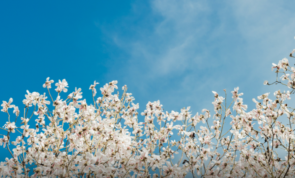 想考律师上什么学校（全国政法类大学排名前十强）