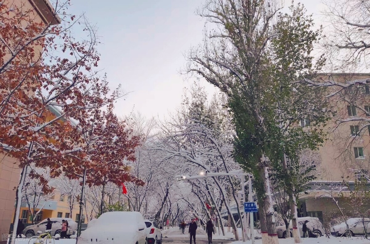 盘点5所优质高校，位于不同的省份，受人民日报点名推荐