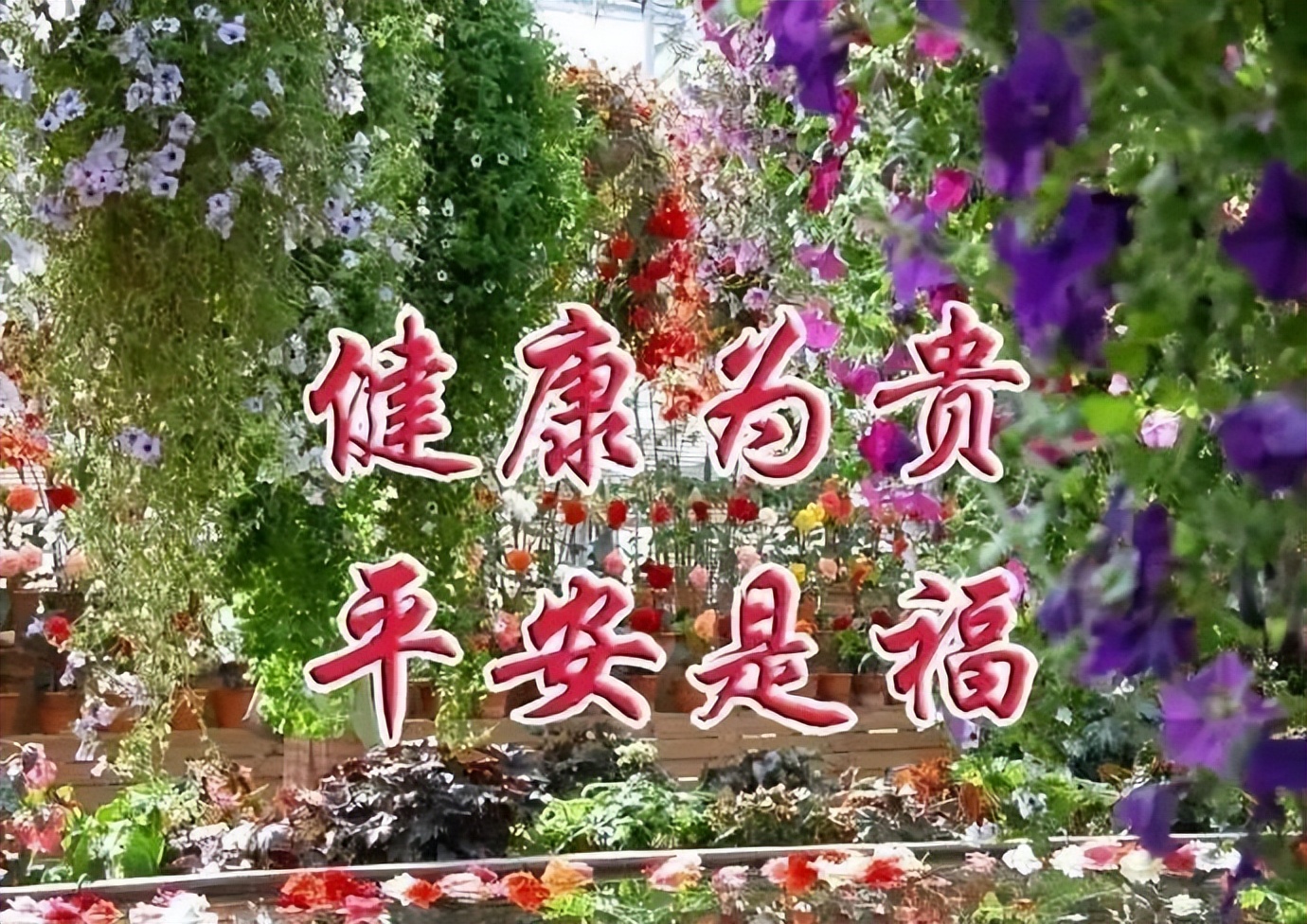 愿朋友天天开心心情好，事事如意身体棒，用欢喜心过生活图片