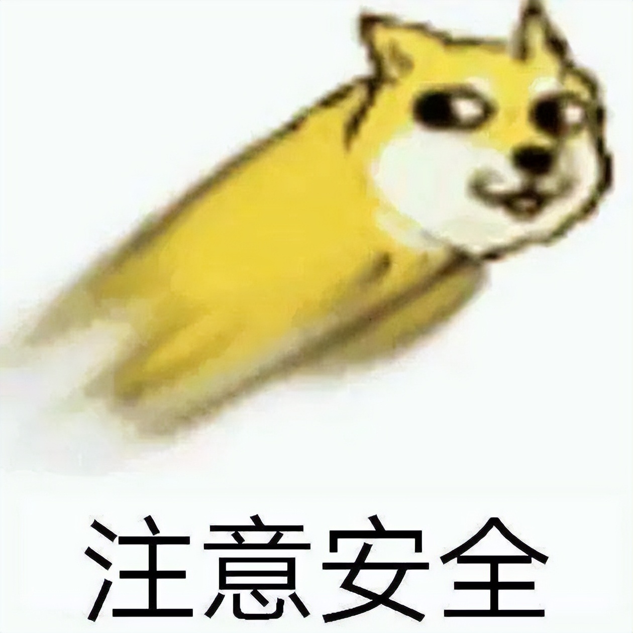 安全稳定，免费不限速，向日葵带你解锁“阳光”下的远控