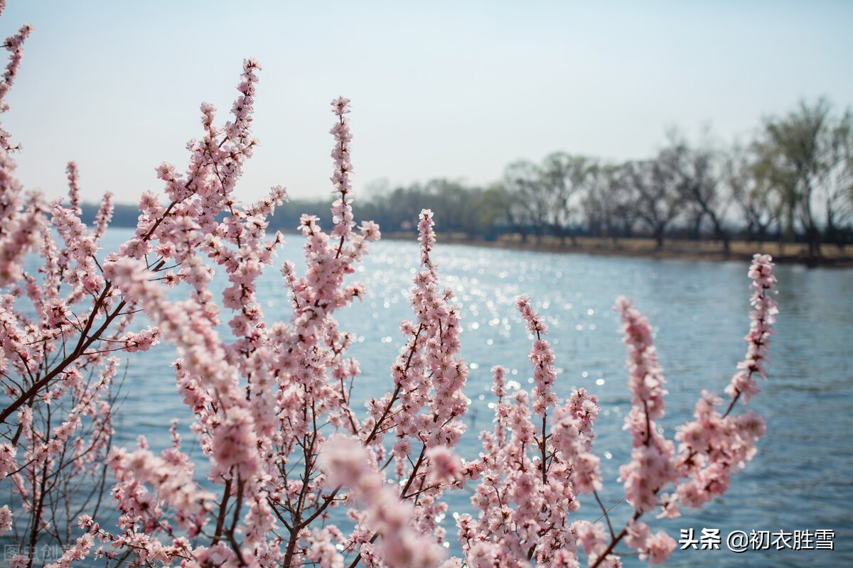 花朝节《春江花月夜》古诗五首：此夜江中月，流光花上春