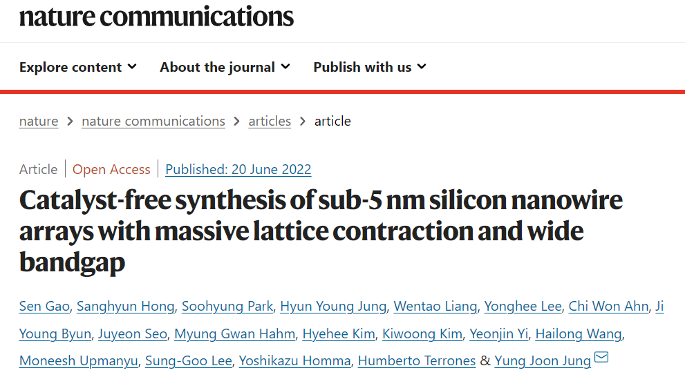 华人科学家研发超细硅纳米线阵列合成工艺，可用于光电子学等领域