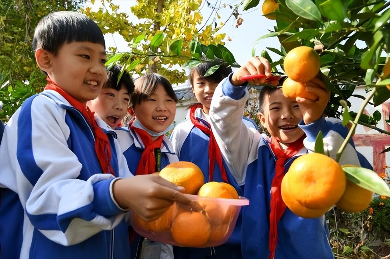 中考科目增加后，中小学生9月又将迎来新课程：老师要教做饭了