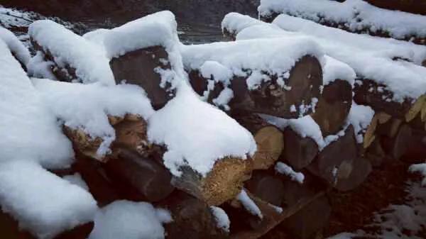 不一样的支教，不一样的人生，记录我在藏区学校支教的日子