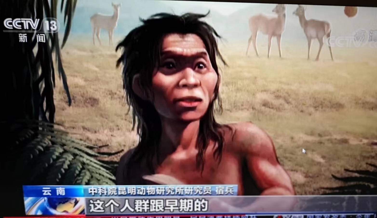 近日中科院印第安人基因研究成果6年前曾被80后学者的专著所论证