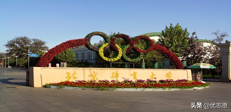 体育学校有哪些专业（2021年北京体育大学艺术类及体育类单招专业招生人数逐年上升）