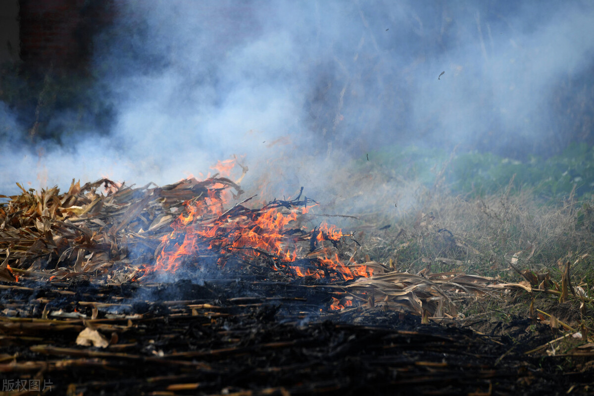 开拓北大荒 拖拉机开荒 机组成员半夜被狼群围困 天亮才得脱险 天天看点