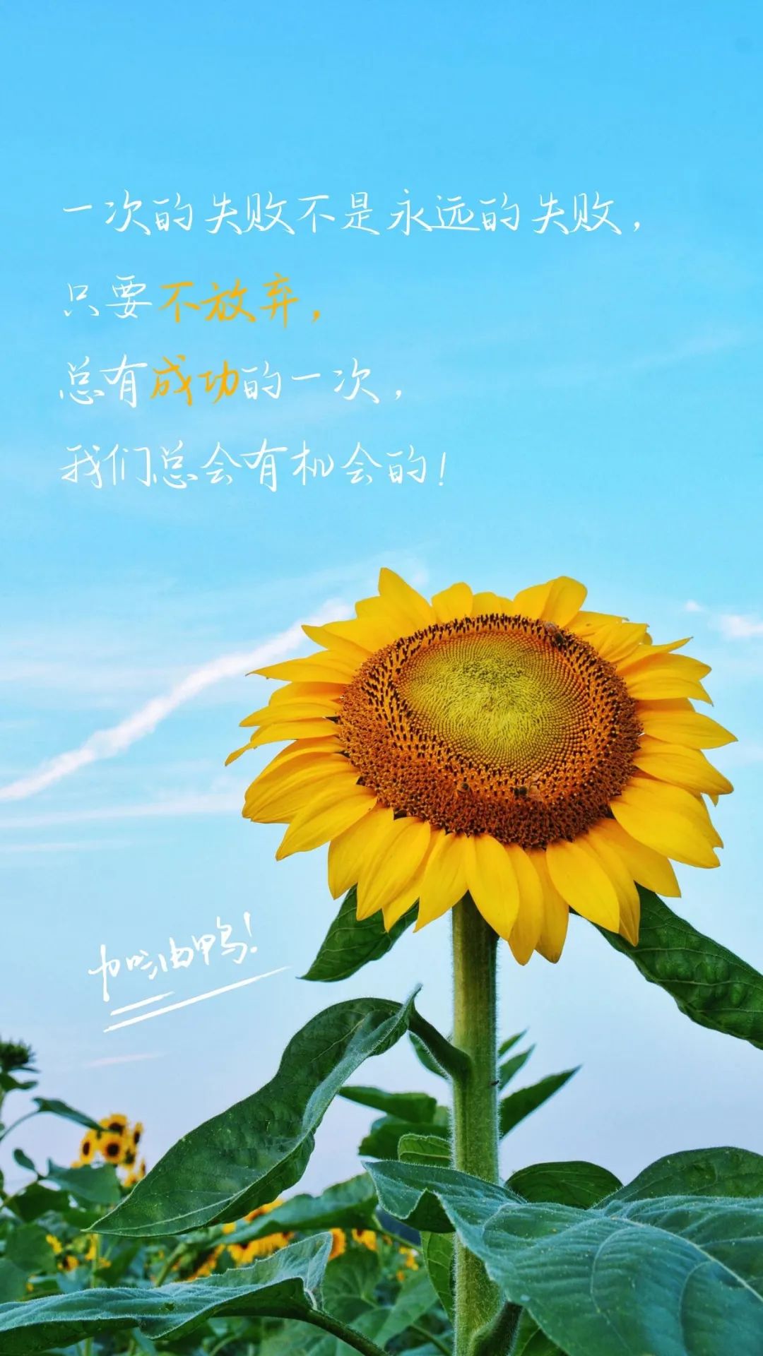 鼓励人努力奋斗的句子(鼓励人努力奋斗的句子50字)