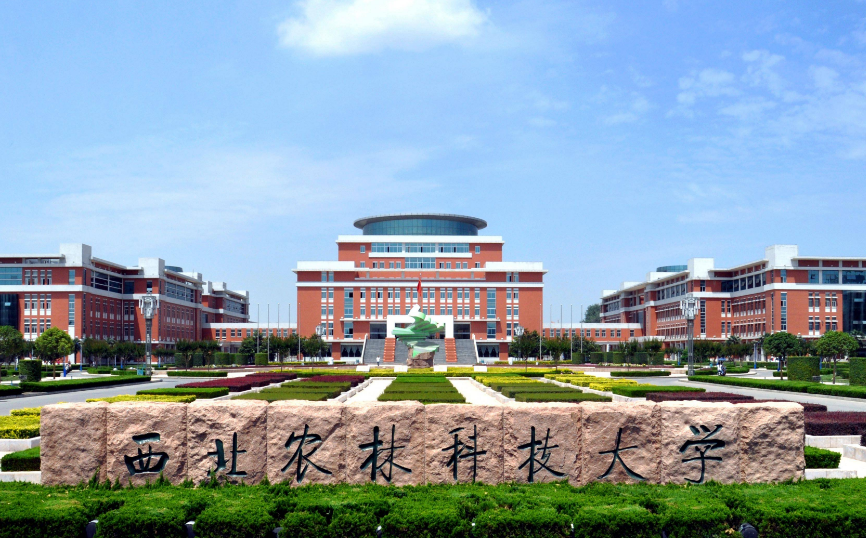 可以“捡漏”的三所985高校，录取分数不是很高，就业前景却很好