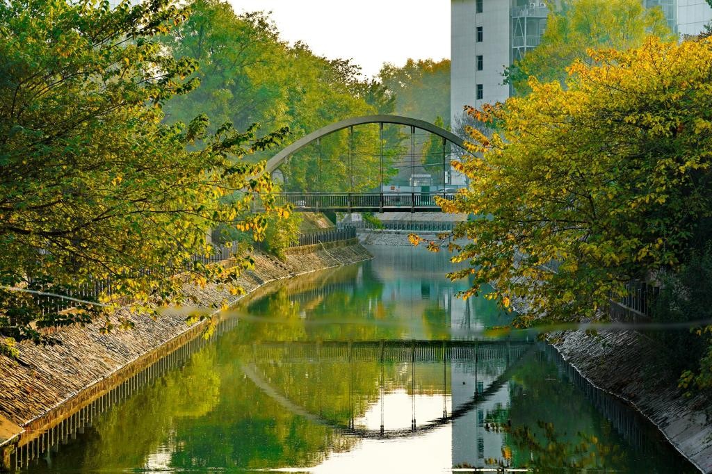 “男神女神”齐亮相！河南这2个宿舍，11人全部上岸，来自同一高校同一学院！