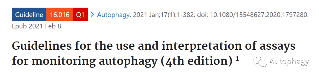 2022年细胞自噬相关综述速递