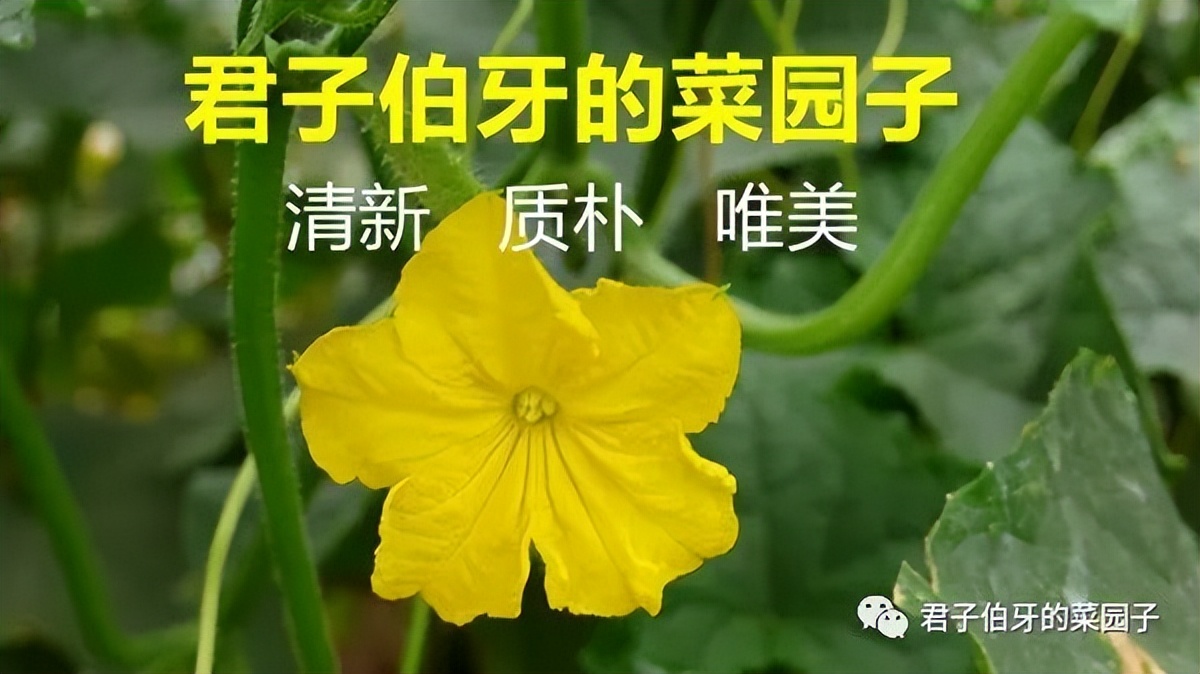 「考场内外」决战岂止在考场 原创：李战军
