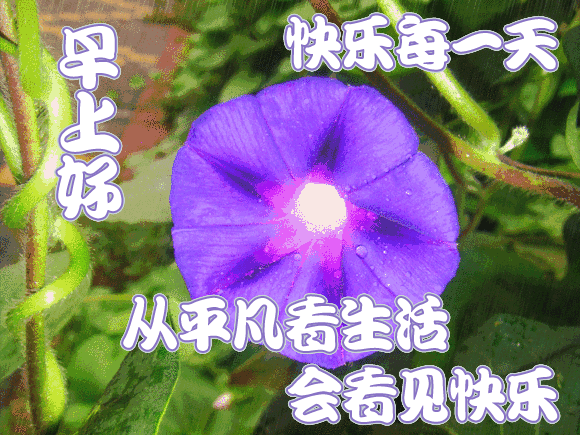 周四早上好说说 微信早安祝福语图集 平安是福，懂得知足就会幸福图片