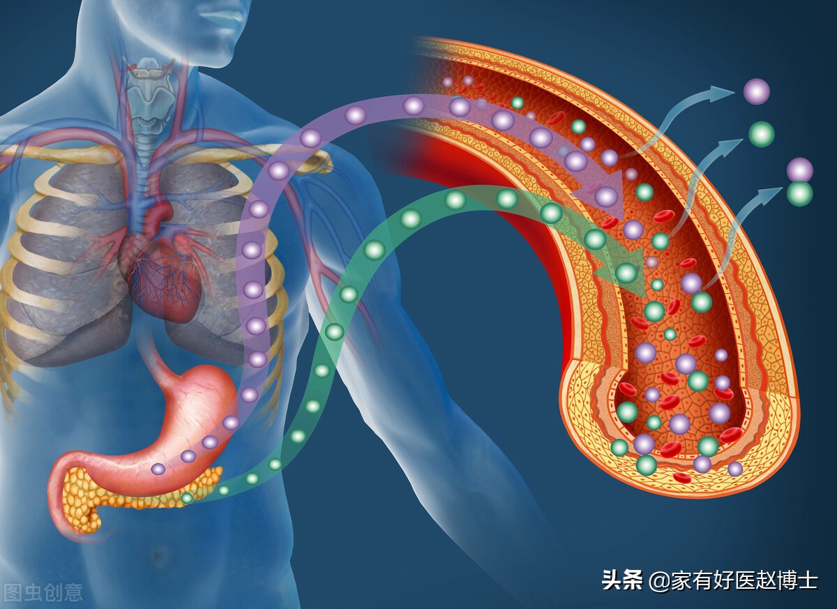 空腹血糖高，问题可能出在哪里？降糖药物，有哪些可以用？