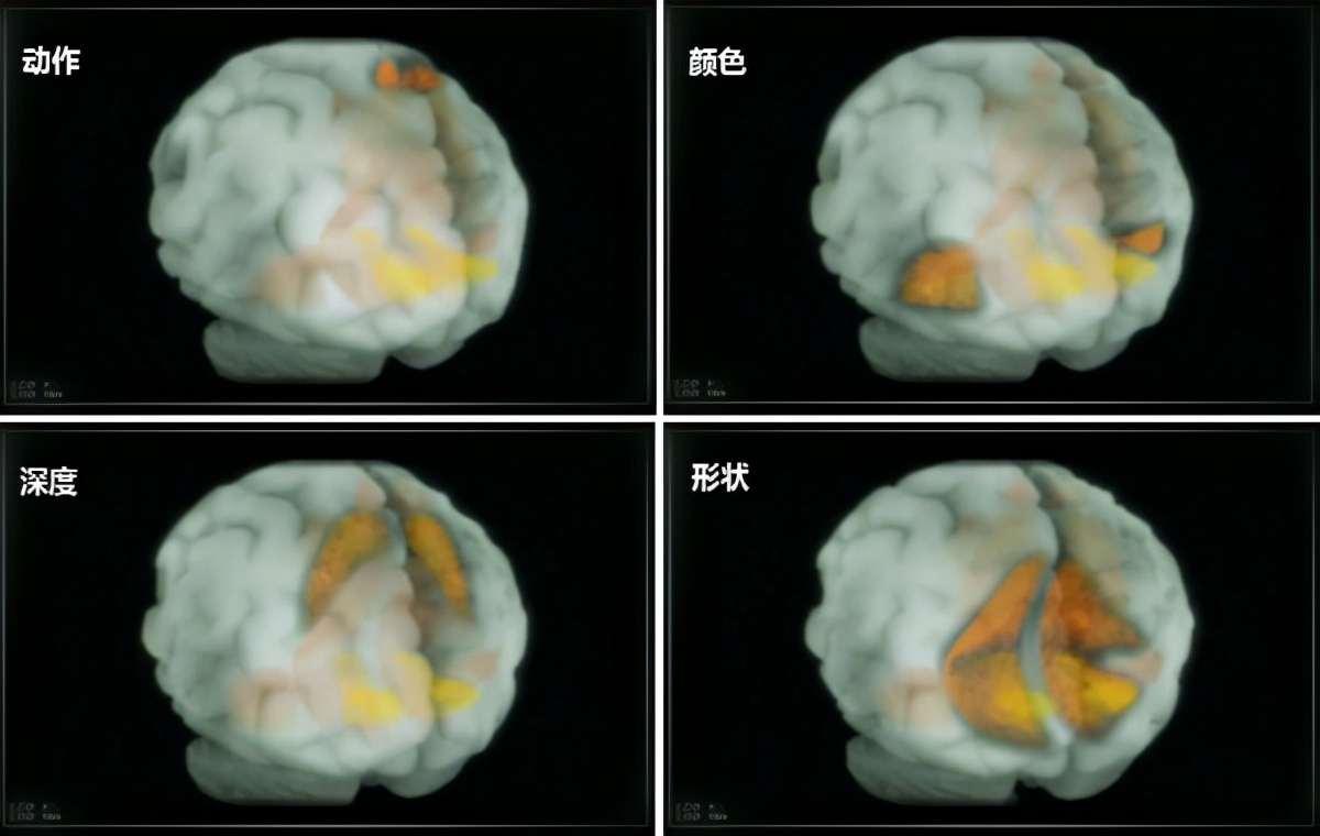 深度长文：意识的本质到底是什么？意识和自我意识是如何产生的？