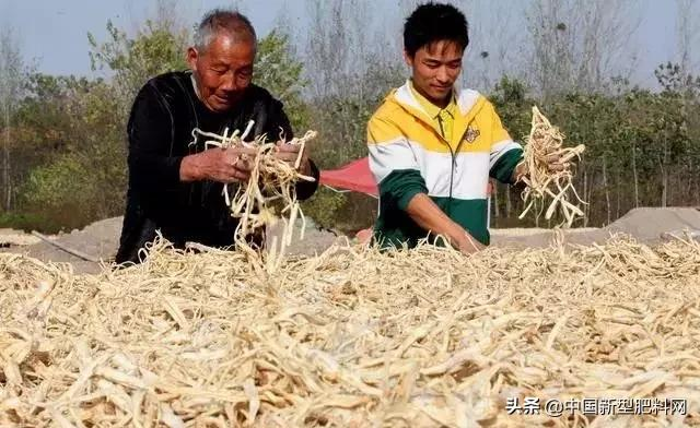 农村这些作物，明年种植，赚钱多，利润很可观，价格一直在涨