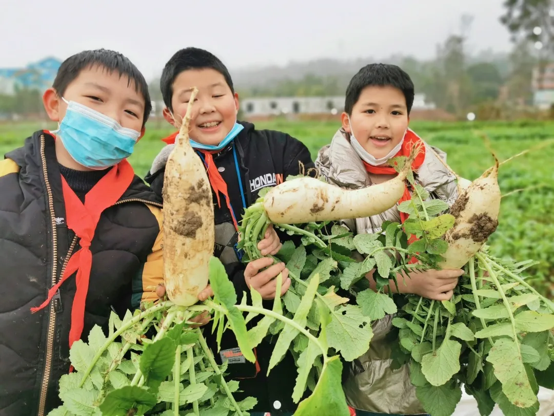 「城南小学•德育工作」小基地大收获 劳动实践快乐多