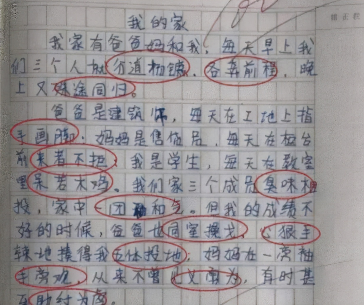 “老师的头发像蒲公英，风一吹就没了”，小学生爆笑作文引热议