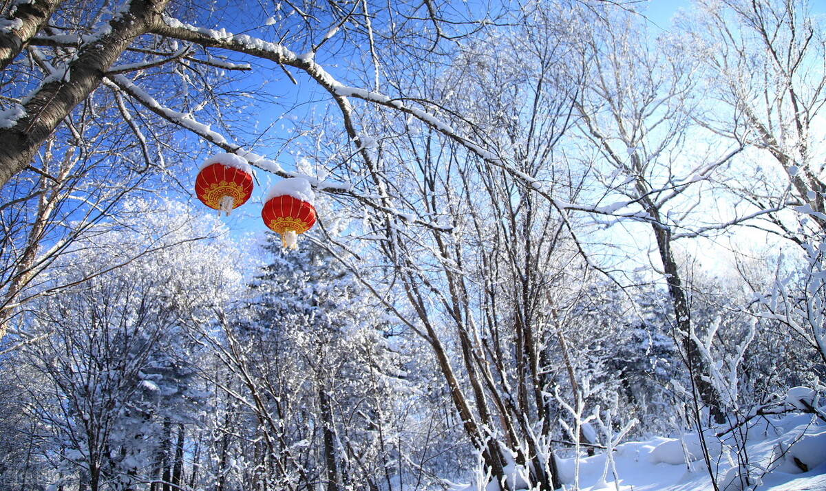 散文，等雪，与残枝瘦影，一同书写寒冬极简的意境