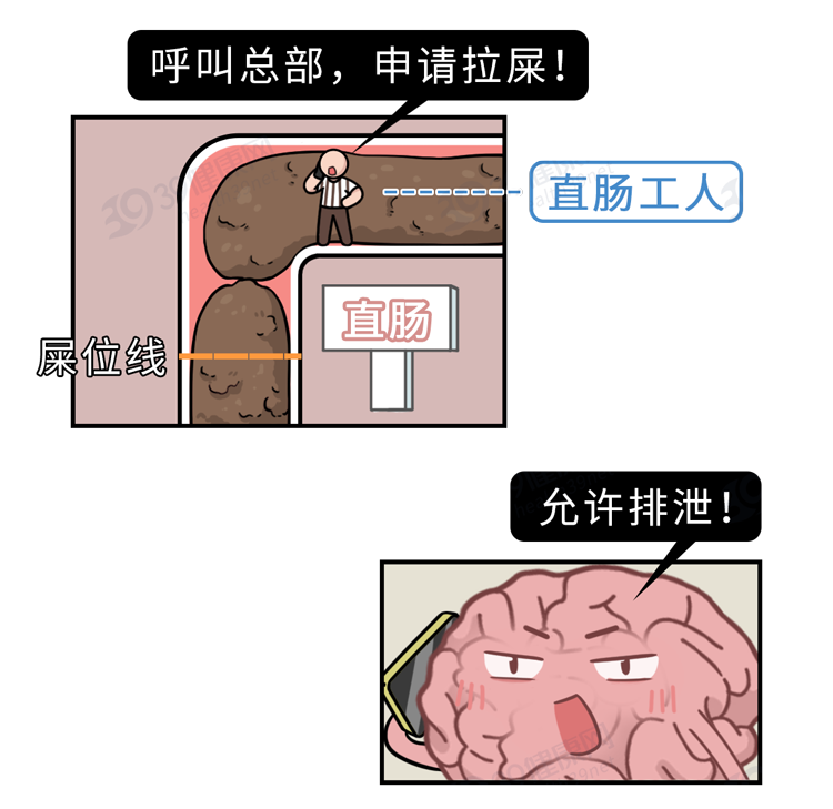 1天3次大便和3天1次大便，哪个才是大肠癌？哪些症状要警惕？
