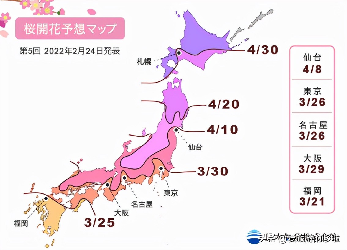 日本樱花图片（盘点大家都爱去的赏樱名地）