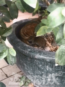 女朋友出差了，说去了上海出差，还给我发来了一张这样的照片