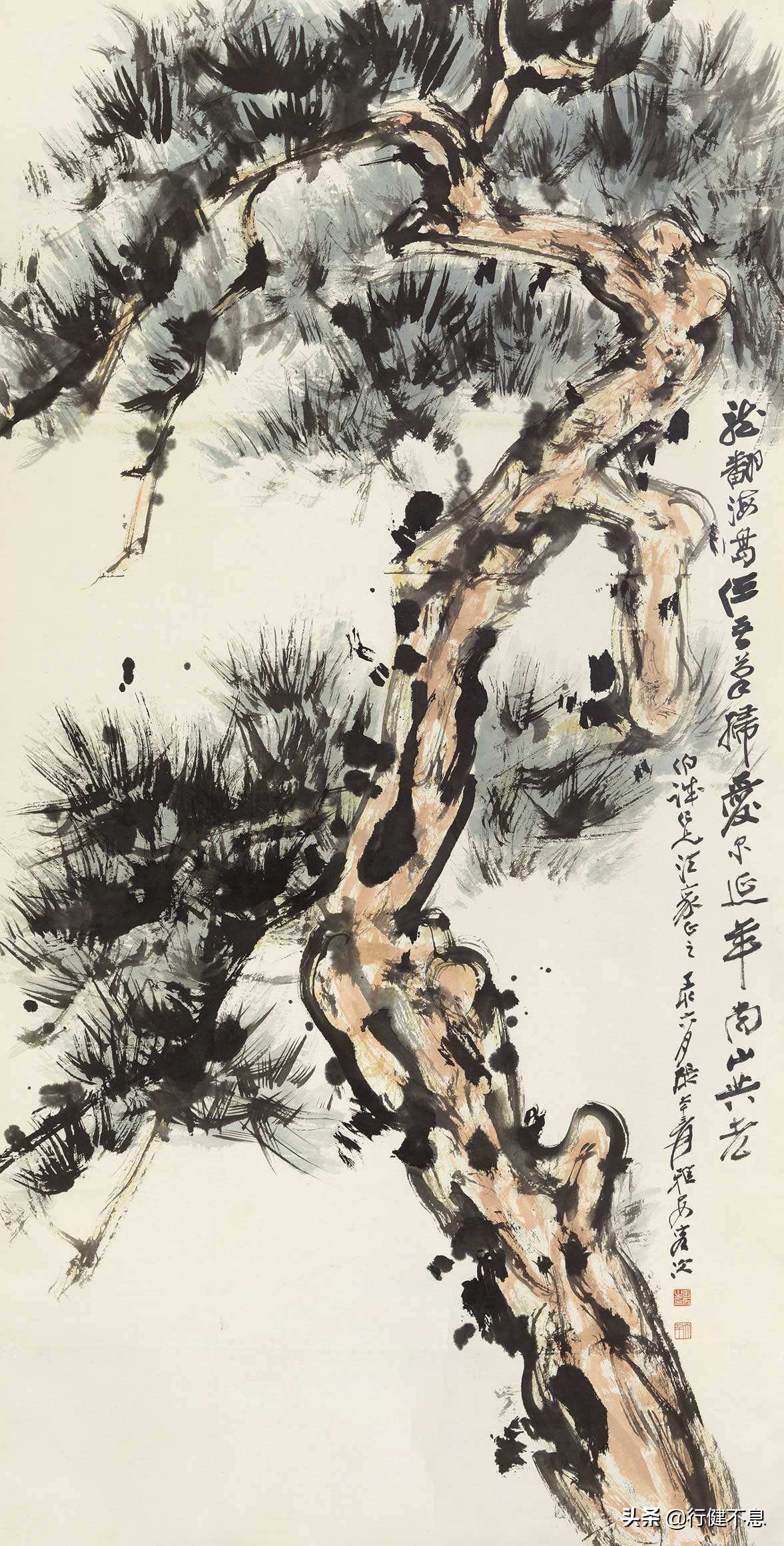 新松恨不高千尺:十二首著名的咏松诗,展示大诗人们的青松情怀