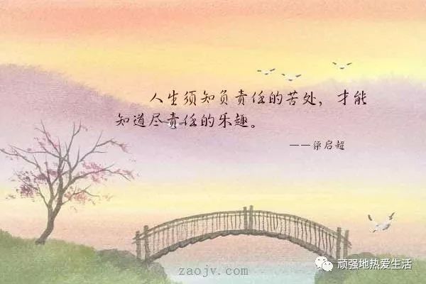 什么是文化 教育