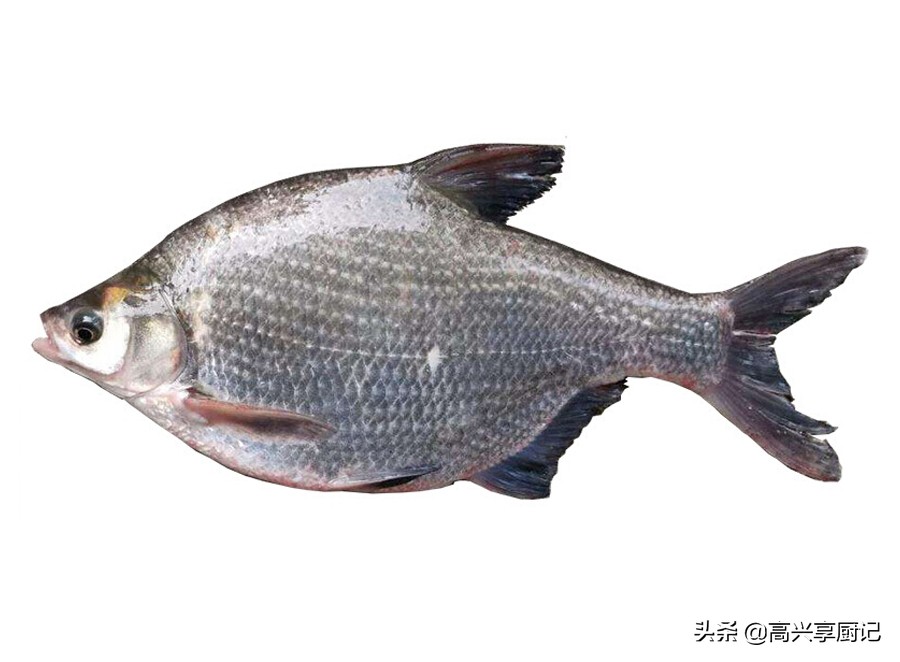 淡水鱼的做法(早春，5种淡水鱼的做法，应季而食营养足！爱吃鱼的别放过)