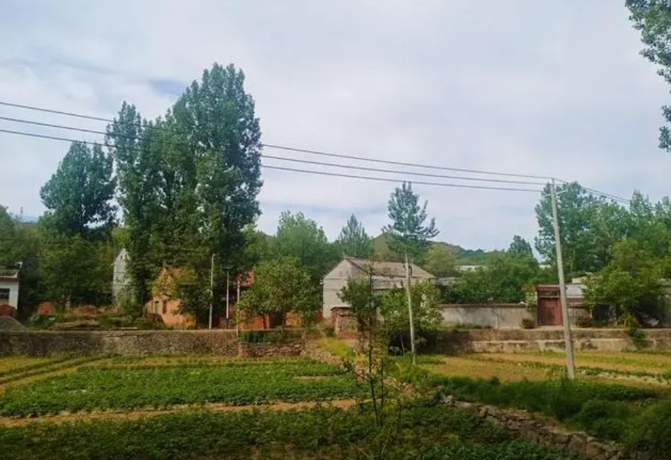 2011年，陕西男子收到与不知名女子裸照，警方查出系列民生大案