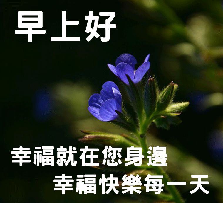 非常漂亮的周六早上好祝福图片 早上好问候语 愿你开心幸福 美满顺利图片
