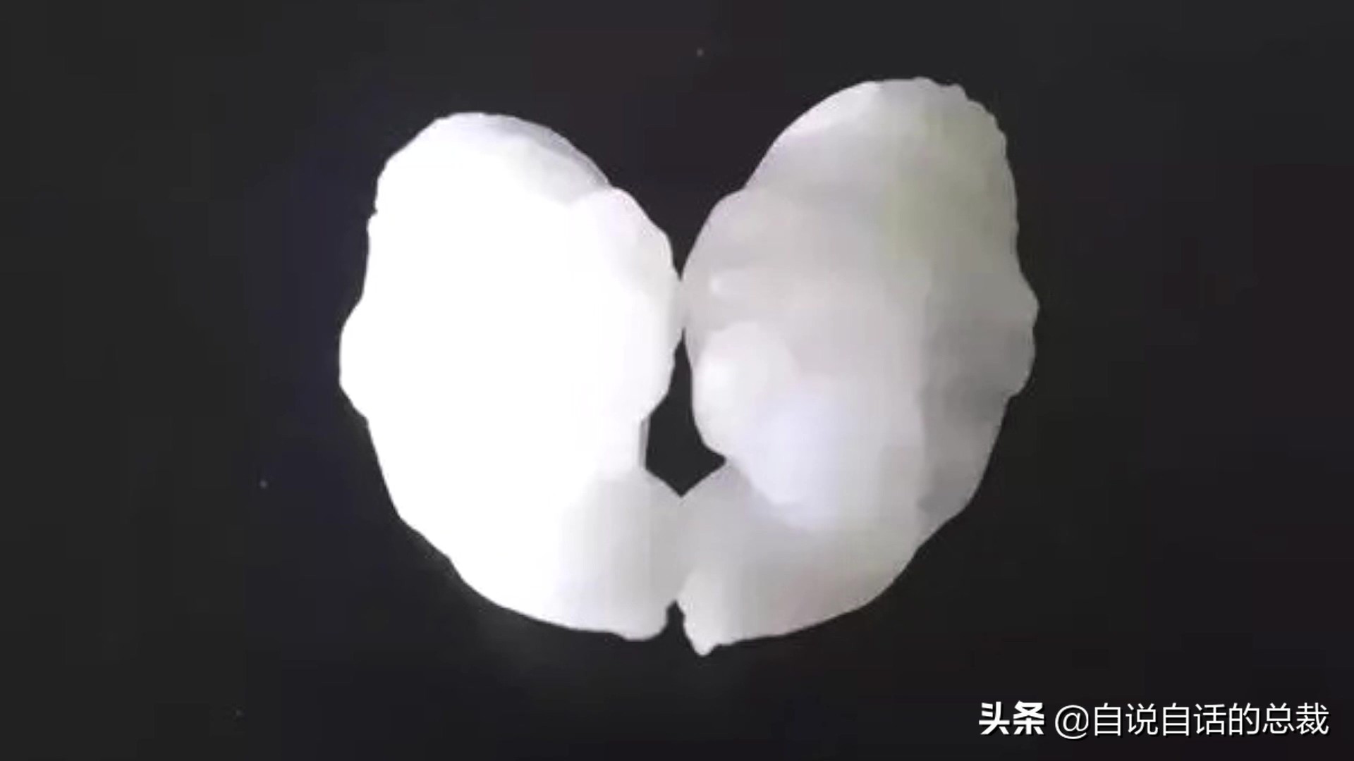 从4毛一斤到价比黄金，300万一条，40年来，大黄鱼到底经历了什么