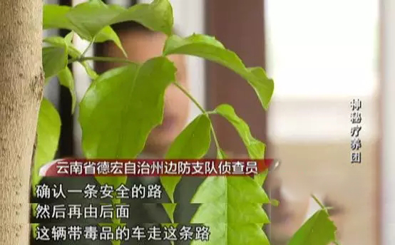 2017年三辆豪车去云南旅游，引起警方怀疑，全家12口多人判死刑