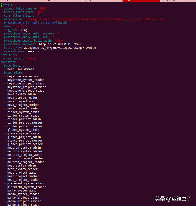 OpenStack开源炫酷云管理平台skyline，Horizon界面可以放弃了