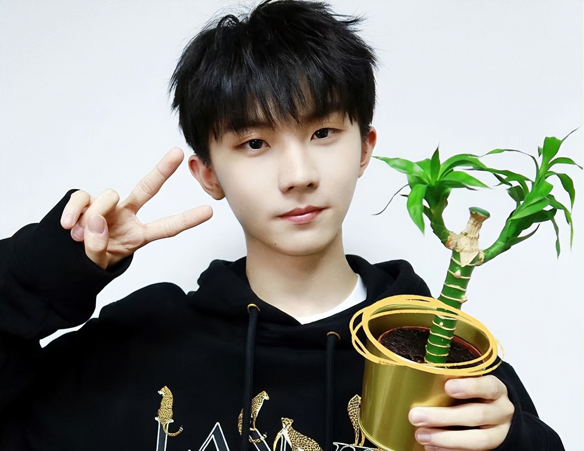 2022明星艺考成绩公布！又是几家欢喜几家愁，你的爱豆考得如何？