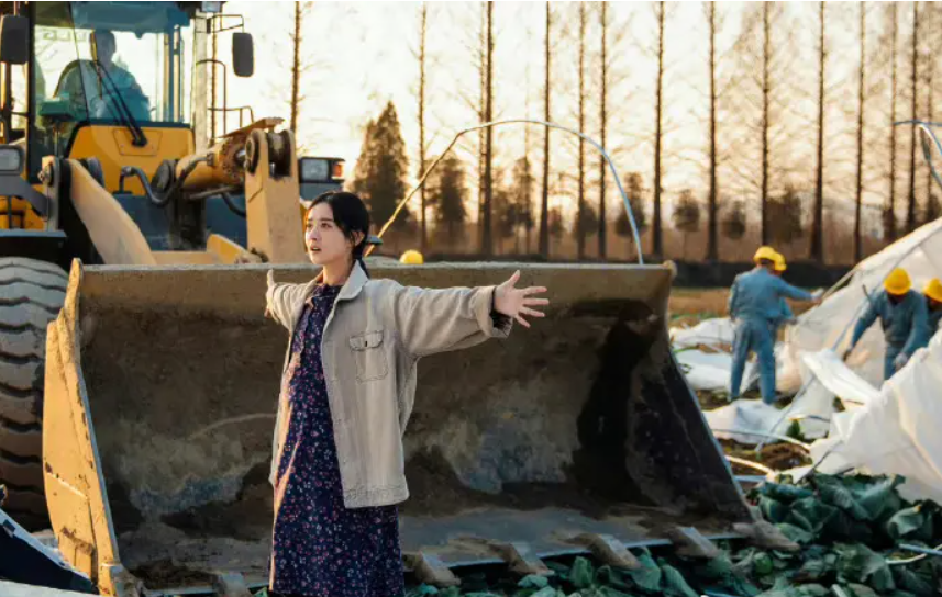 《幸福到万家》赵丽颖以身抗强拆大错特错 这才是正确的做法